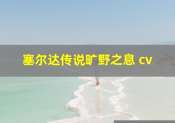 塞尔达传说旷野之息 cv